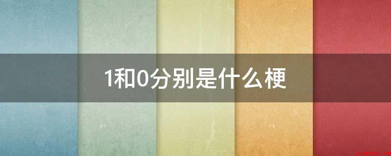 1和0分别是什么梗(计算机存储二进制的要素)
