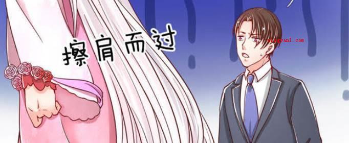 秦戈姚美姬是主角的小说叫什么?(赘婿奶爸兴起秦戈姚美姬)