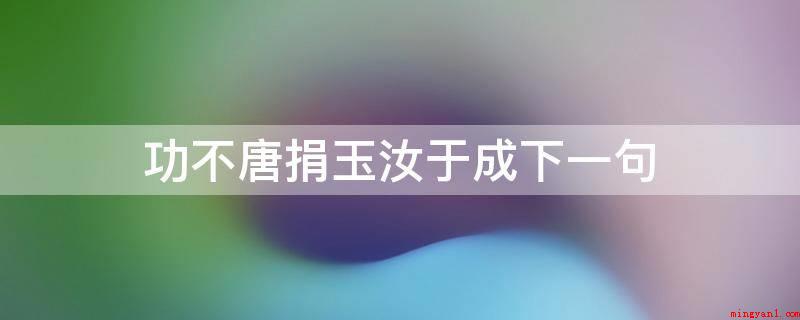 功不唐捐玉汝于成下一句(功不唐捐,玉汝于成没有下一句,各自源于几篇文章内容)