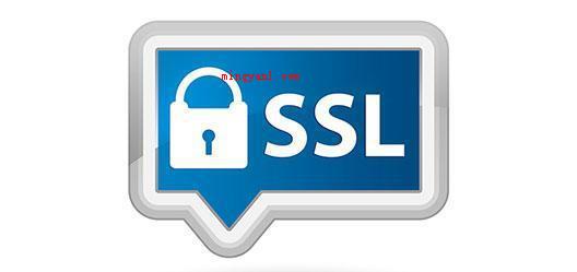 ssl是什么(简略回应SSL证书是数字证书的一种)
