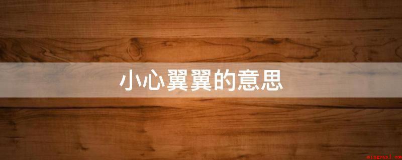 小心翼翼的意思(提心吊胆,汉语成语,翼翼:严肃认真慎重)