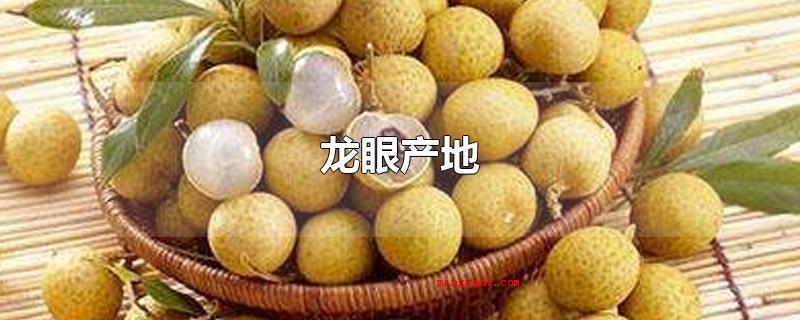龙眼产地(龙眼原产地于中国,关键)
