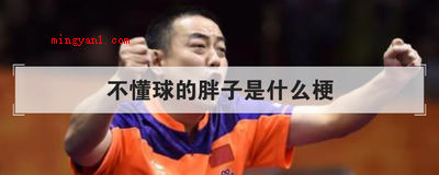 不懂球的胖子是什么梗是什么意思(刘国梁:后边坐下来的胖子是国内的高官吗?全场就他不懂台球)