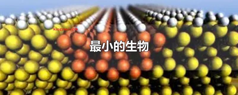 最小的生物(世界上最小的生物名字叫做十亿分之一米,比病菌还需要小)