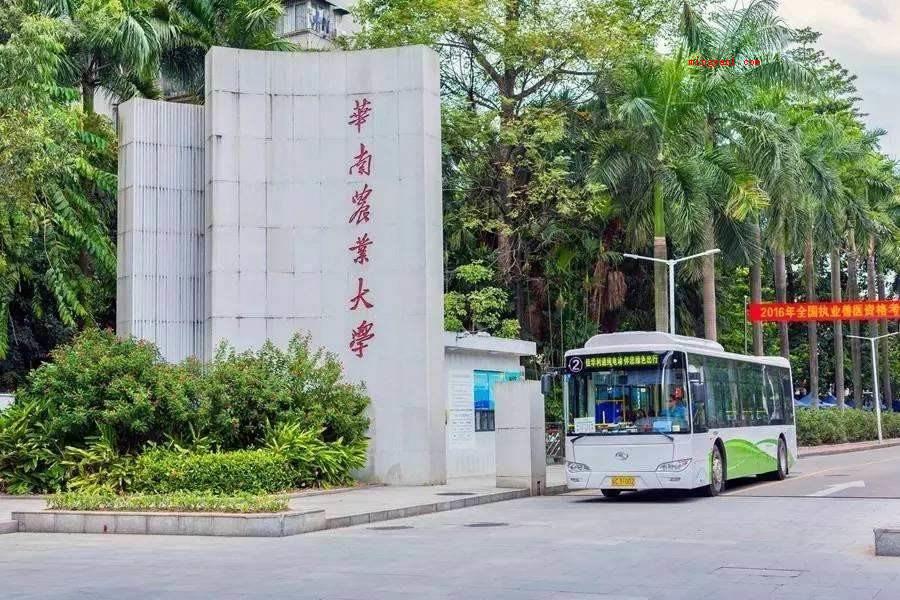 广东排名前十的大学有哪些？（广东排名前十的大学分别是中山市大学）