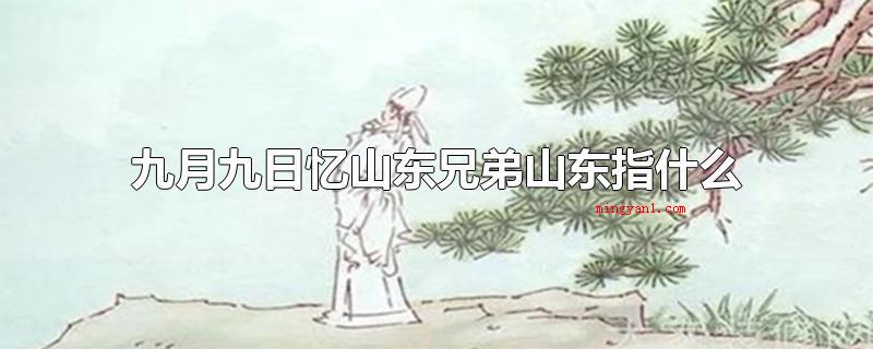 九月九日忆山东兄弟山东指什么（九月九日忆山东兄弟河南）