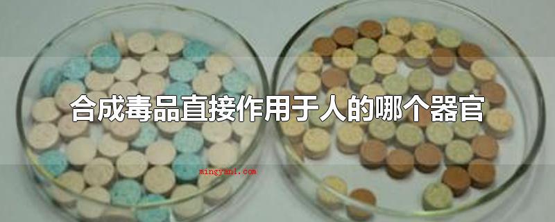 合成毒品直接作用于人的哪个器官(合成毒品立即作用于人的哪一个人体器官)