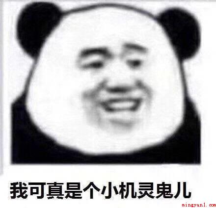 你真是个小机灵鬼