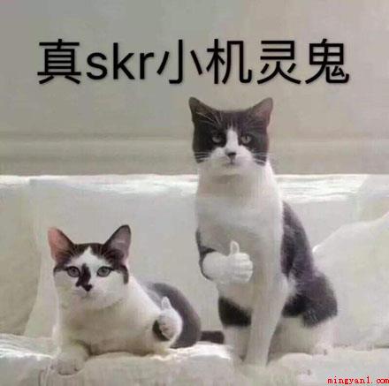 你真是个小机灵鬼