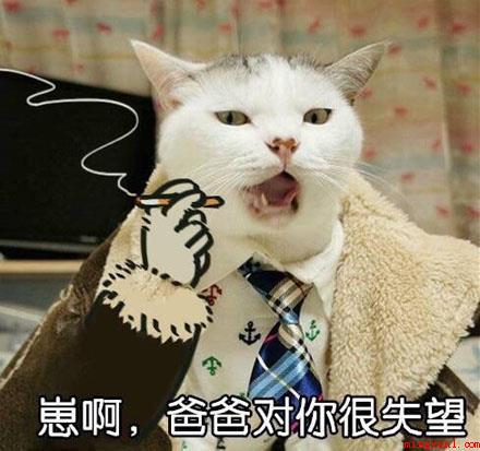 全村的希望是什么梗