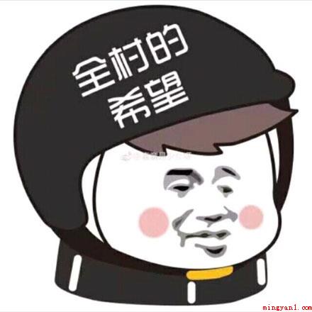 全村的希望是什么梗