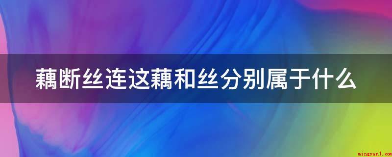 藕断丝连这藕和丝分别属于什么(纠缠不清这藕和丝各自归属于营养组织和输导组织)