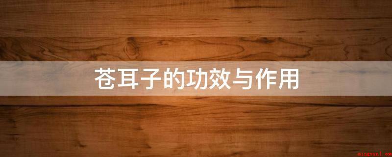 苍耳子的功效与作用(苍耳子辛行消防疏散,苦可化湿杀虫)
