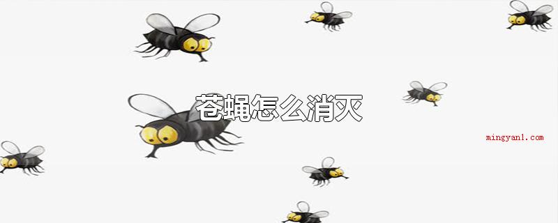 苍蝇怎么消灭(可以用粘蝇纸、灭虫剂、点蝇香或是除虫药品等,这种除蝇专用工具)