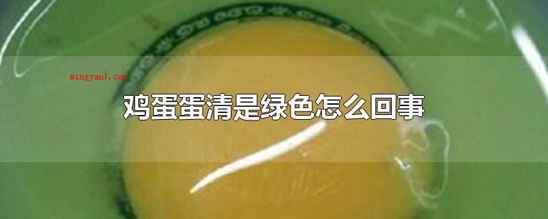 鸡蛋蛋清是绿色怎么回事(鸡蛋蛋清是绿色是怎么回事)