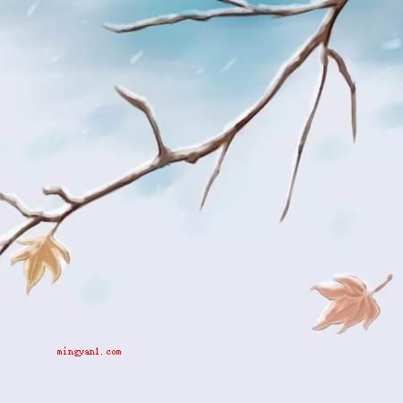 秋收冬藏开始于立冬还是冬至?(冬至秋收冬藏逐渐于冬至)
