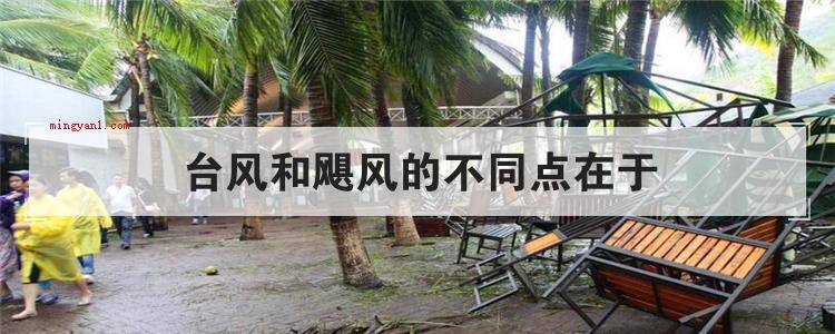台风和飓风的不同点在于(简略回应台风和飓风的不同点)