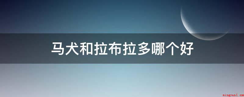 马犬和拉布拉多哪个好（拉布拉多犬和马犬的区别）