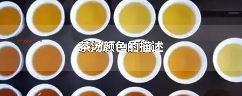茶汤颜色的描述(茶汤颜色的描述有多种多样比喻)