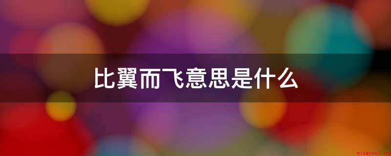 比翼而飞意思是什么(比翼而飞意思是鸟儿同时起降,泛用于形容夫妻幸福、亲密无间)