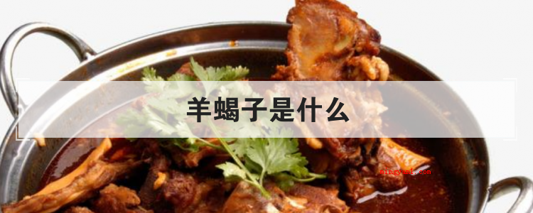 羊蝎子是什么(羊蝎子指的是羊脊椎,样子与天蝎座很像,具备补充钙质功效)