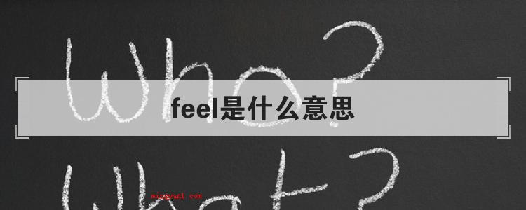 feel是什么意思（简略回应feel翻译成汉语）