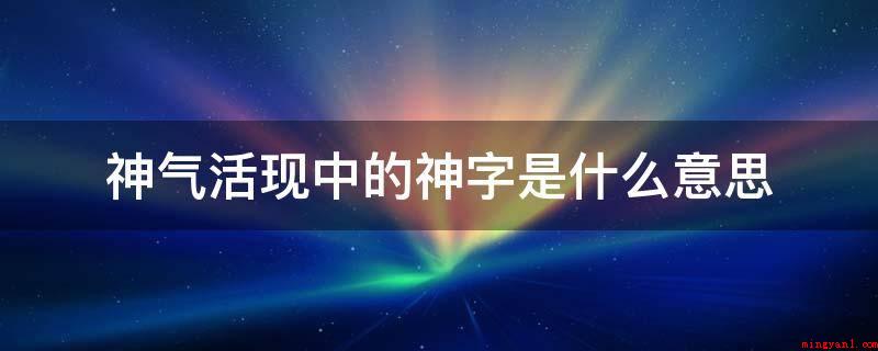 神气活现中的神字是什么意思(是神情,神色的意思。神别的释意)