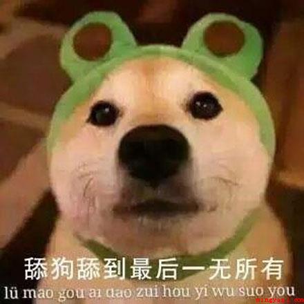 舔狗梗是什么意思(舔狗梗意思、出处、含义介绍)