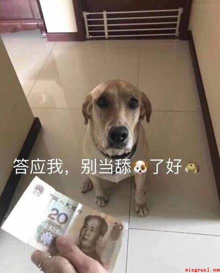 舔狗梗是什么意思(舔狗梗意思、出处、含义介绍)