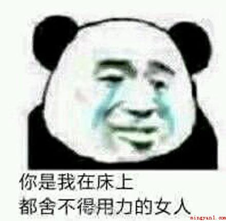 舔狗梗是什么意思(舔狗梗意思、出处、含义介绍)