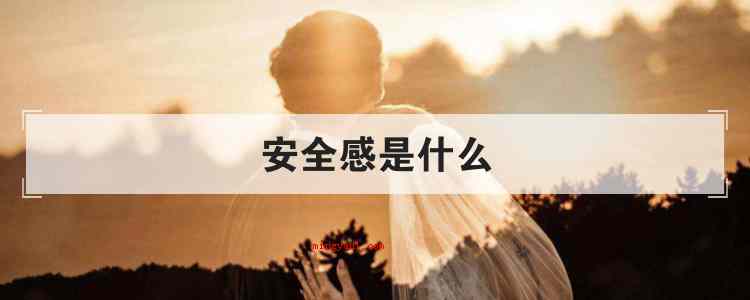 安全感是什么(简略回应安全感归属于本人本质精神需求)
