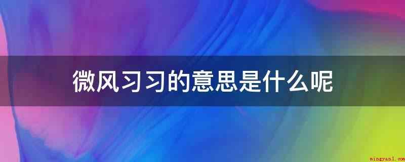 微风习习的意思是什么呢(微风拂面释意:比喻微风和熙、迟缓吹开的模样,同义词)