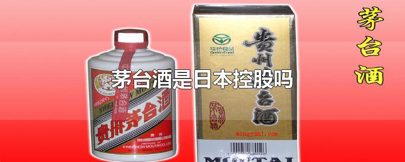 茅台酒是日本控股吗（茅台集团是茅台酒的控股股东）