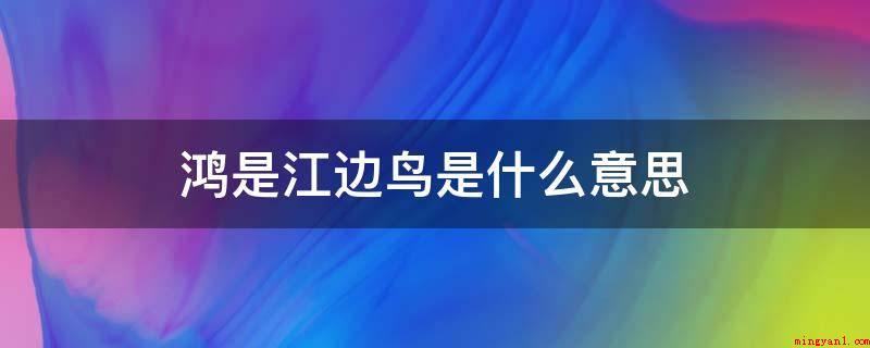 鸿是江边鸟是什么意思(鸿是江边鸟是一副对联,真真正的价值取决于其对仗工整)