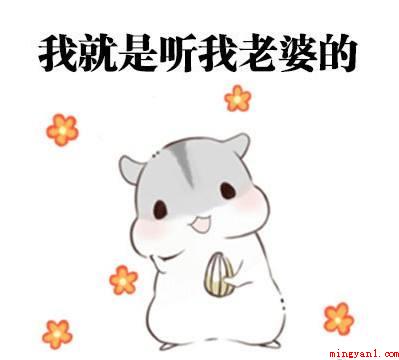 马子狗是什么意思（马子狗意思、出处、含义介绍）