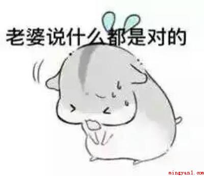 马子狗是什么意思（马子狗意思、出处、含义介绍）