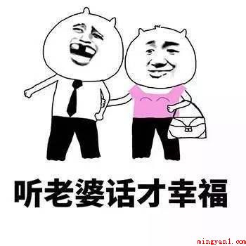 马子狗是什么意思（马子狗意思、出处、含义介绍）