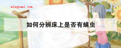 如何分辨床上是否有螨虫（简略回应将被子放进阳光底下曝晒,被子会释放出味道,这一味道便）