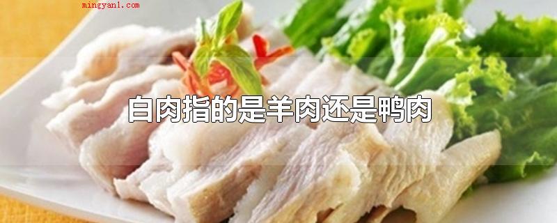 白肉指的是羊肉还是鸭肉(白肉指的是鸭肉,鸭肉是白肉中的一种,白肉是药理学)
