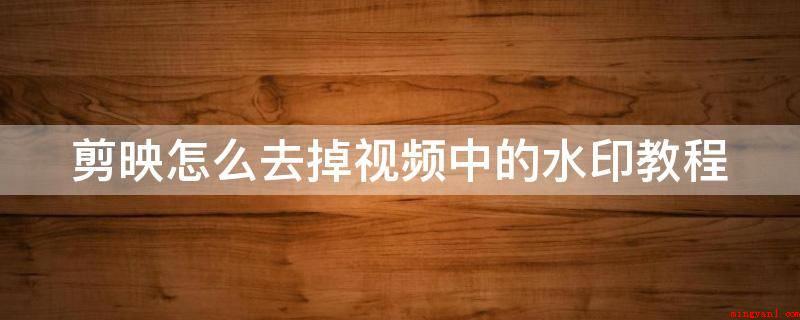 剪映怎么去掉视频中的水印教程(怎样根据剪映除掉视频中的水印)