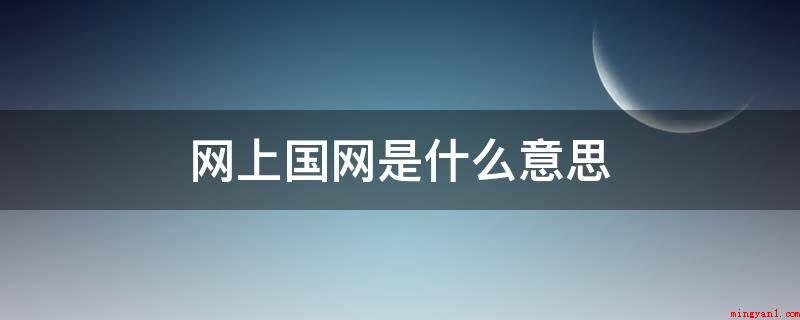 网上国网是什么意思(在网上国网有限责任公司)