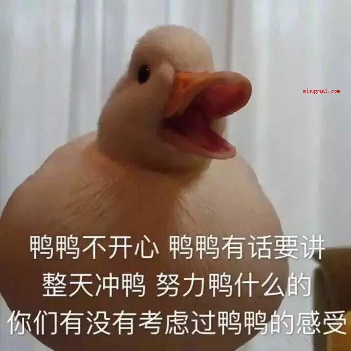 duck不必是什么梗？是什么意思（01duck不必是英语单词的谐音）