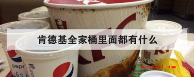 肯德基全家桶里面都有什么(肯德基全家桶包含1瓶1)