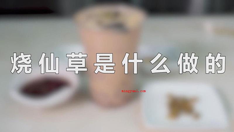 烧仙草是什么做的（烧仙草是用一种名叫仙草的绿色植物制做而成）