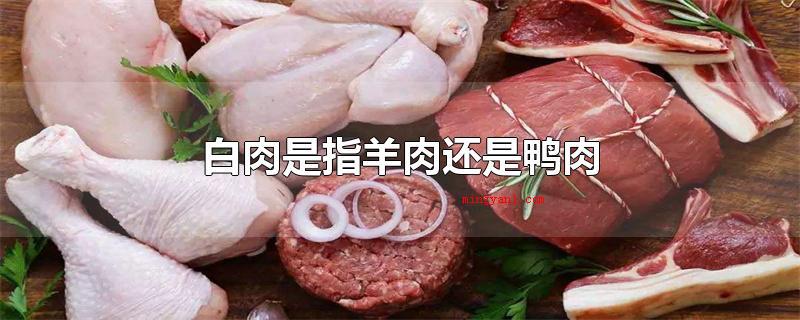 白肉是指羊肉还是鸭肉(白肉和白肉有什么区别?)