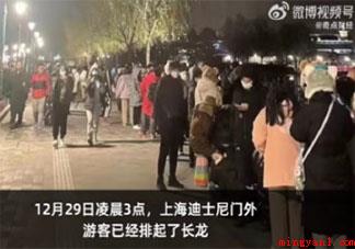 凌晨3点超5000人迪士尼排队买玩偶 为什么迪士尼玩偶这么火 凌晨3点超5000人迪士尼排队买玩偶(29日零晨3点超5000人上海市迪士尼排队买玩偶)