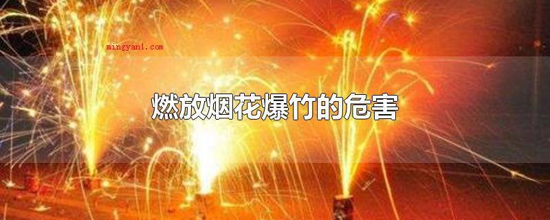 燃放烟花爆竹的危害(燃放烟花爆竹会造成环境污染)