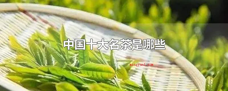 中国十大名茶是哪些(中国十大名茶,你知道吗?)