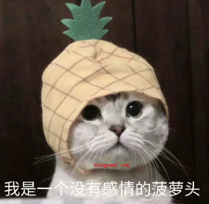 搞笑又坑人的整人问题有哪些?(你想要做我的太阳吗?我刚才看电视剧说狗才算是人们好朋友?)