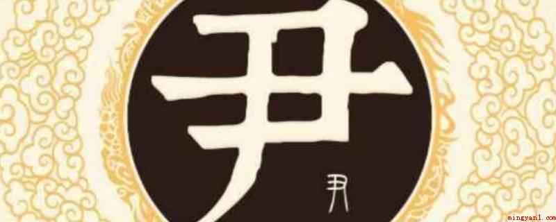 尹怎么读(中华字典记述:《广韵》于准切《集韵》庾准切,音允)